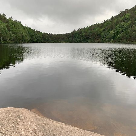Velkommen Til En Koselig Leilighet Pa Sorlandet! Kristiansand Exteriör bild